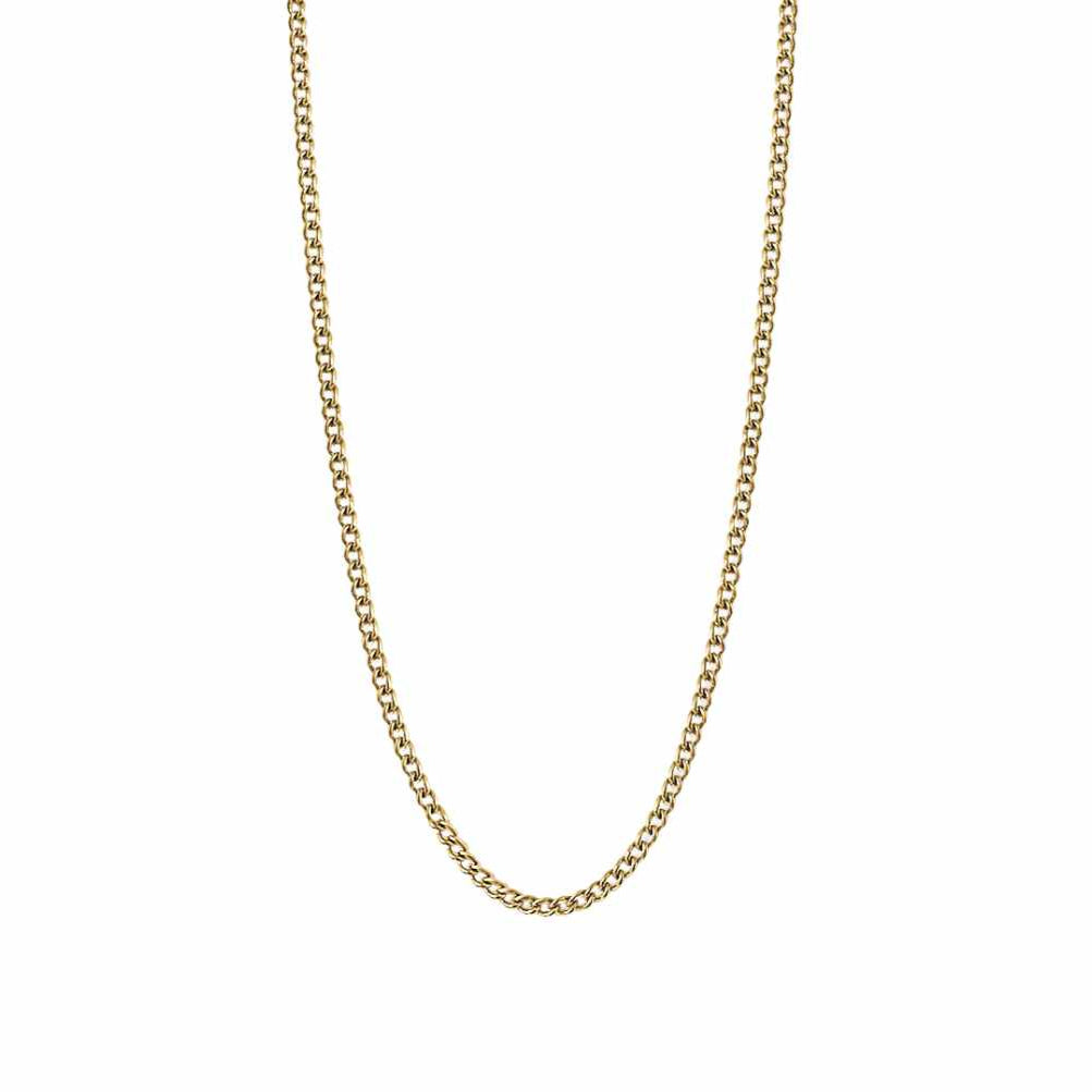 Renée 2mm Curb Chain Necklace - Cerise Jewelry